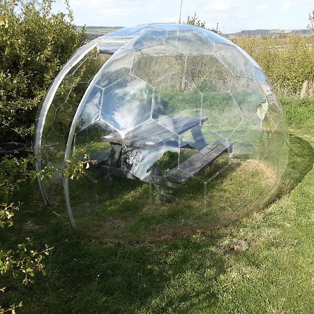 The Rainbow Pod Villa Milltown Malbay Bagian luar foto